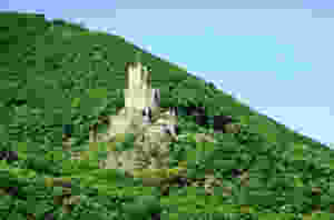 Soonek