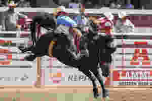 Calgary Stampede