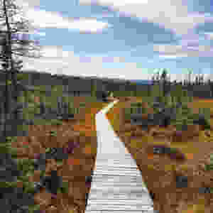 Terra Nova National Park