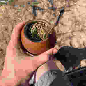 Yerba Mate – Argentina