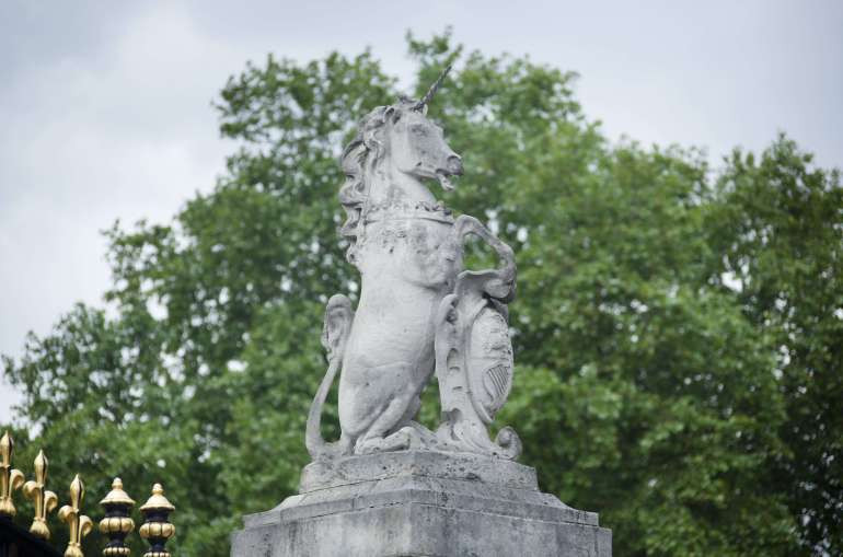 unicorn