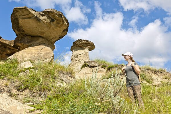 Dinosaur Provincial Park