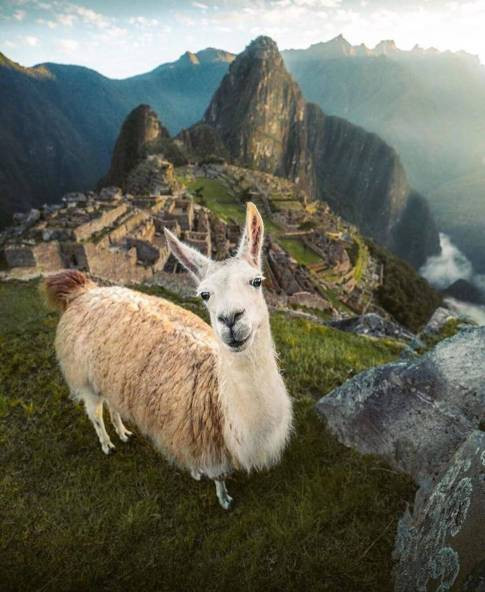 peru