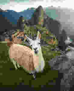 peru