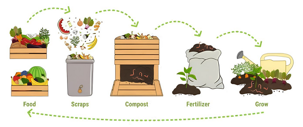 VERMI COMPOSTING CYCLE.png
