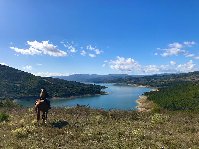lake (2).jpeg