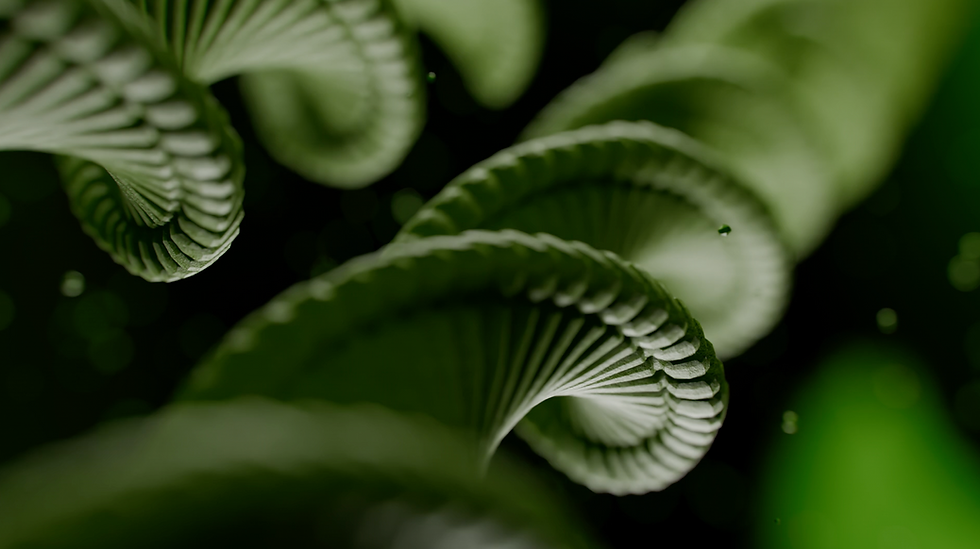 Finnish Bioindustries joins the European Biosolutions Coalition to strengthen Europe's industrial biotech agenda