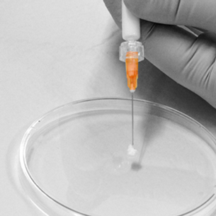 DelSiTechille merkittävä lisenssisopimus globaalin lääkeyhtiön kanssa