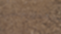 S-free-Lignin2.png