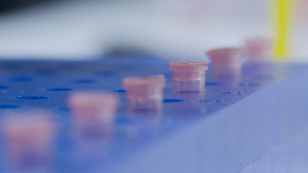 Two New Members Join Finnish Bioindustries Association