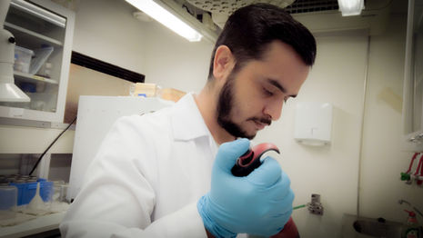 Ritesh Sharma: Functionalizing cellulose fibers with natural substances