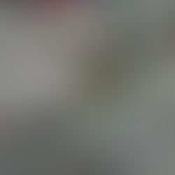 Biotech in the Baltics: Redefining Natural Ingredients with Plant Cell Cultivation with Alternative Plants