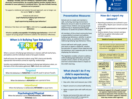 Addressing Bullying Type Behaviour in Schools - PARENT GUIDE