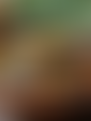 Effective Natural Healing Methods for Everyday Wellness