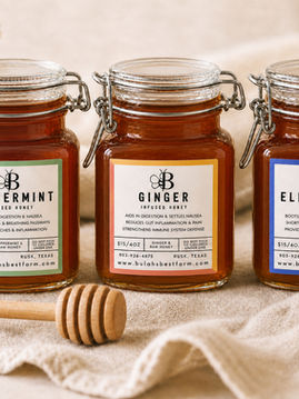 Explore Delicious Infused Honey Varieties Online: Infused Honey Benefits You’ll Love