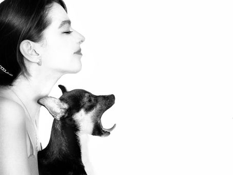 Початок блогінгу