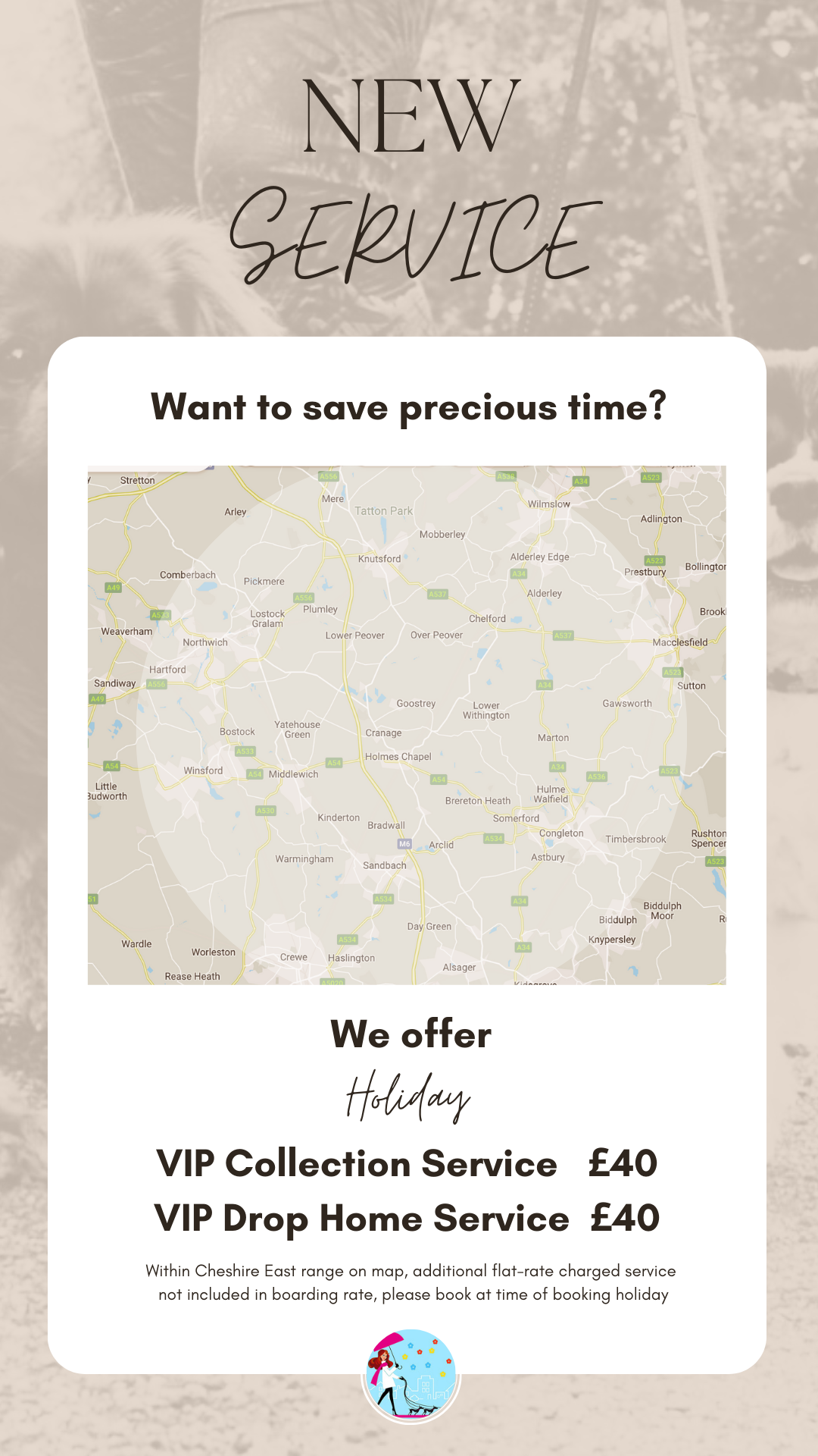 Small Dog Luxury Home Boarding Cheshire l Dog Boarding Cheshire