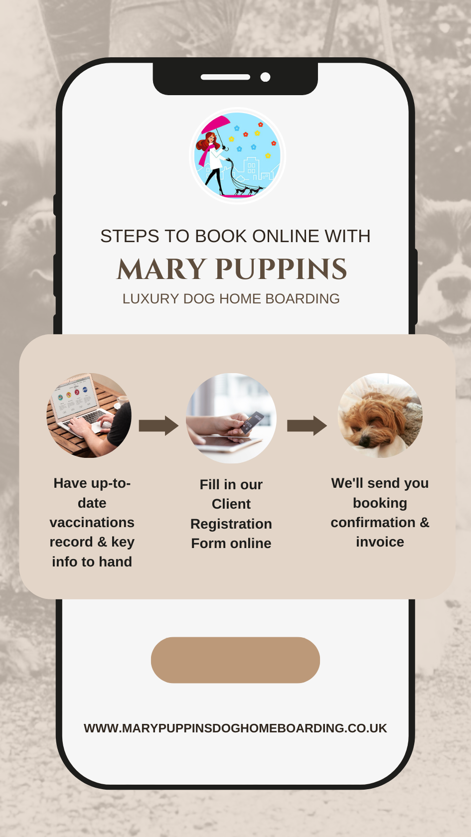 Best Dog Boarding Manchester Luxury Dog Boarding Cheshire