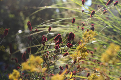 埼玉県工場ランドスケープ