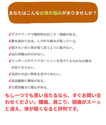 あなたはこんなお体のお悩みがありませんか? (1) (pdf.io).png