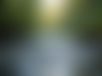 Exploring Open Water Swimming in Mid Wales: A Guide to Cold Water Plunges and Wild Rivers