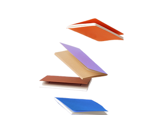Levitating Books_edited.png