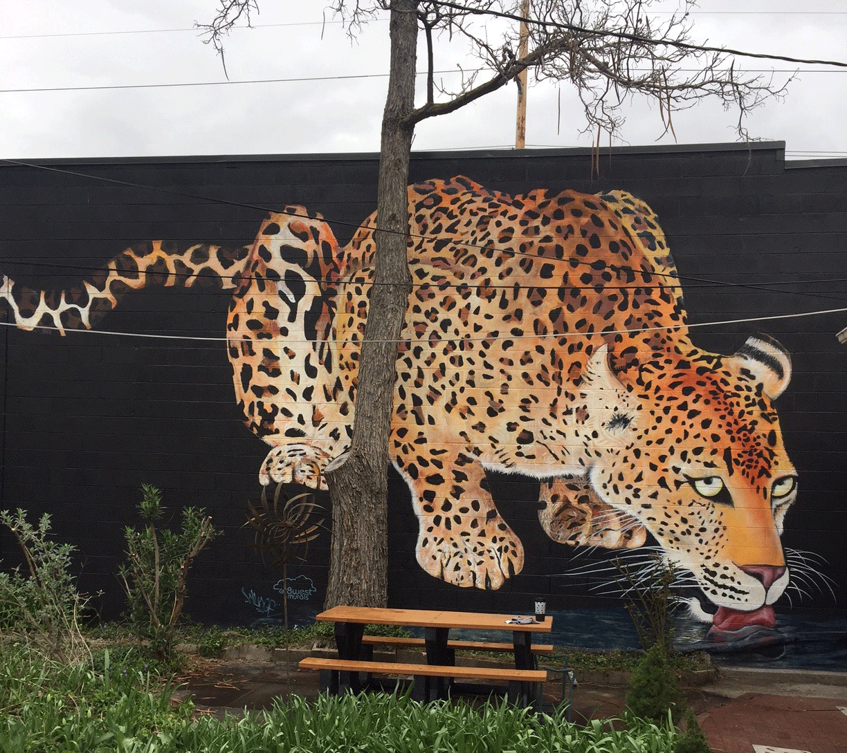 jaguar mural
