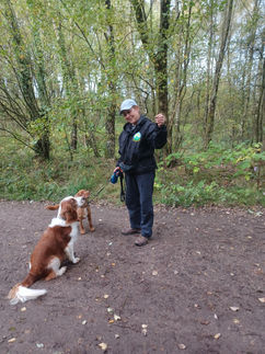 Bit of recall training