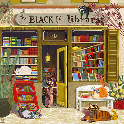 CAT LIBRARY2