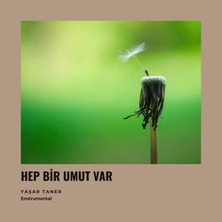 Hep Bir Umut Var