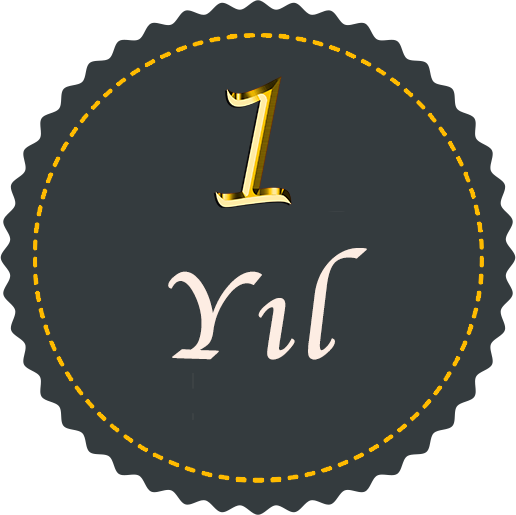 1 Yıl