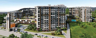 كوزي شهير بلس