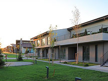 أدين بالك بينار