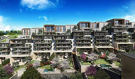 نيكست ليفل تشاي يولو