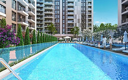 بارك ياشام بورنوفا