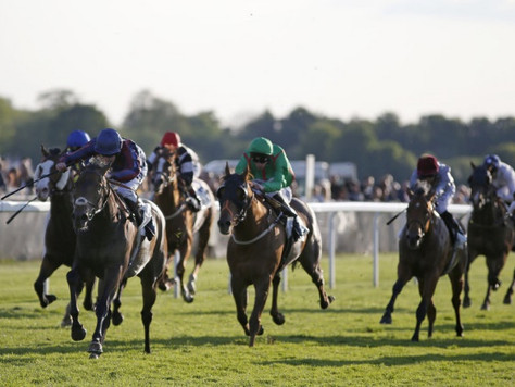 The Tin Man set for Royal Ascot