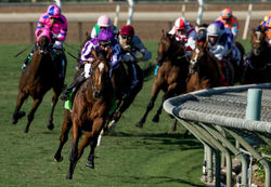Highland Reel - Breeders Cup (2).jpeg
