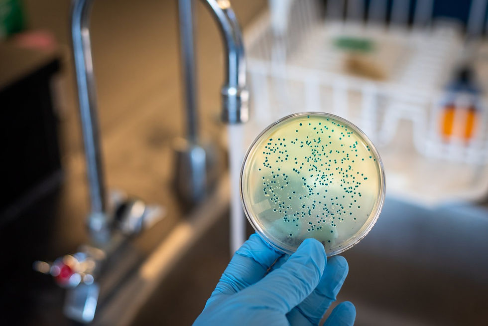 The Science Behind Long-Lasting Anti-Microbial Protection