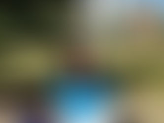 A Leap of Faith, A Lifetime of Growth: Reflecting on My Journey in Canada