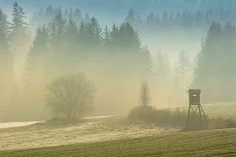 Bohemian-Moravian Highlands, Czech Republic