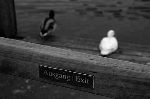 Ducks, Austria