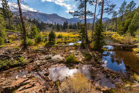Lake Tahoe Forest, California, USA