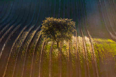 Moravian Tuscany, Czech Republic