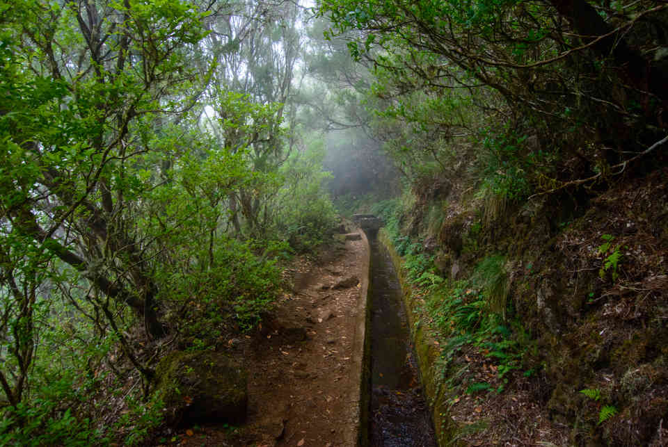 Levada, Madeira