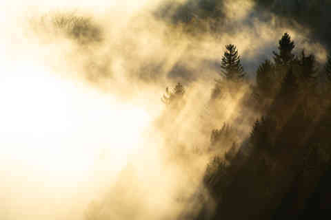 Misty Forest at Jested, Czech Republic
