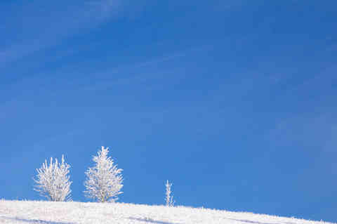 Two and a Half Men, Svratouch, Bohemian-Moravian Highlands, Czech Republic