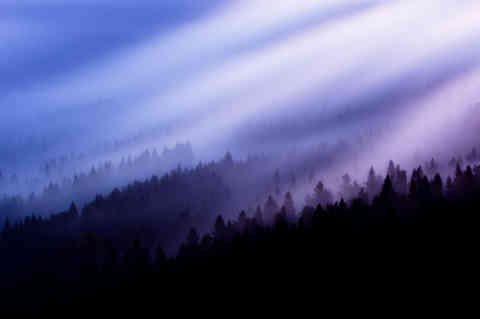 Misty Forest at Jested, Czech Republic