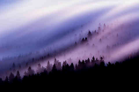 Misty Forest at Jested, Czech Republic