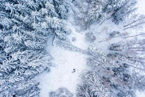 Bohemian-Moravian Highlands, Czech Republic