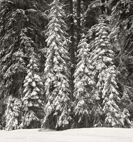 "Mountain Stillnesss #3", 2007, by Ryan J. Bush